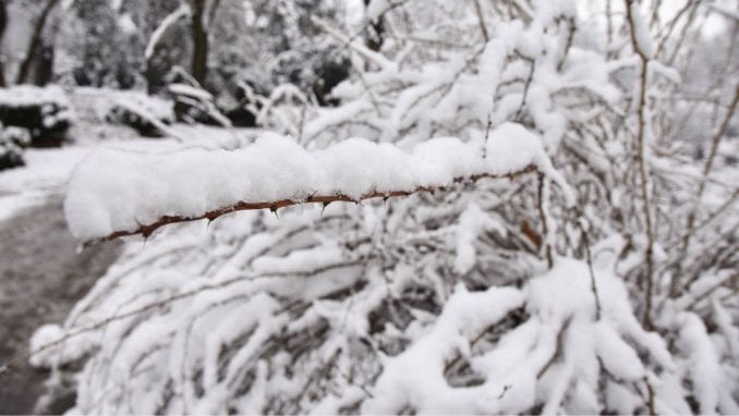 Prihvatilišta spremna za predstojeće niske temperature 1