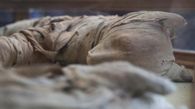 Naučnici rekreirali glas mumije stare 3.000 godina 1