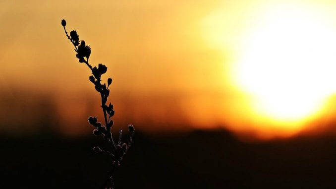 Koliko uspešno naučnici predviđaju klimatske promene? 1