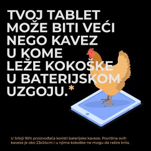 Zašto su kokoške na livadi omiljena ilustracija industrije jaja? 2