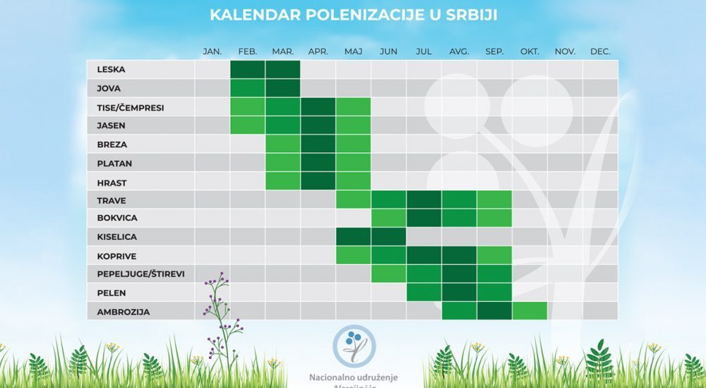 Svaka četvrta osoba na svetu ima neki oblik alergije 2