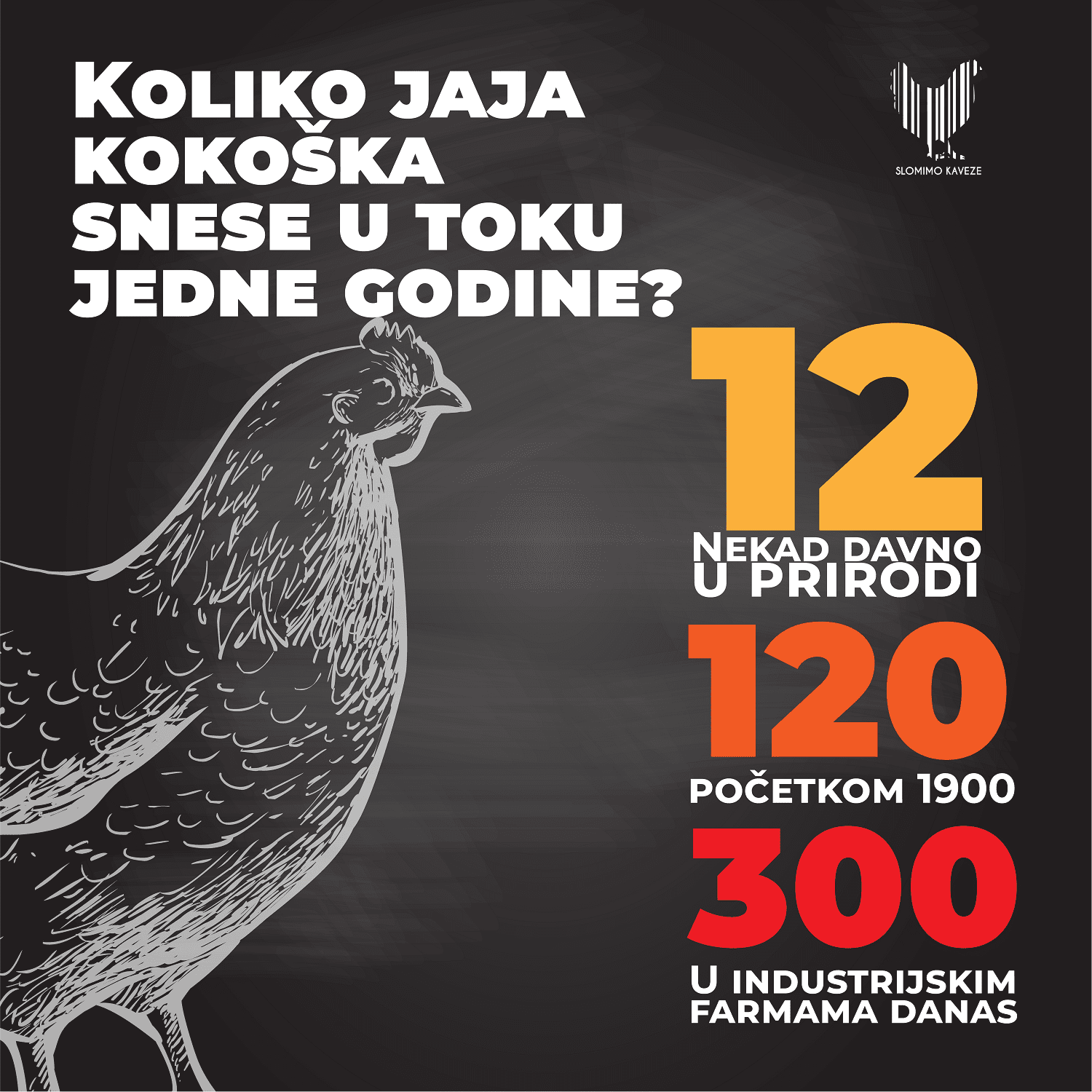 Ko je stariji – kokoška ili živinarstvo? 2