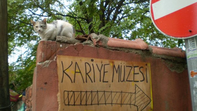 Istanbul: Hora "utrla put" Svetoj Sofiji 1
