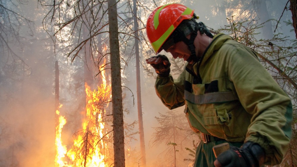 Da li zbog klimatskih promena ima više šumskih požara? 2