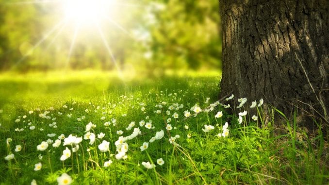 U Srbiji danas sunčano i toplo, temperatura do 33 stepena 1