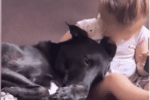 ovo-je-najsladji-video-koji-cete-danas-pogledati:-ljubav-i-prijateljstvo-izmedju-devojcice-i-psa-ce-vas-rastopiti!