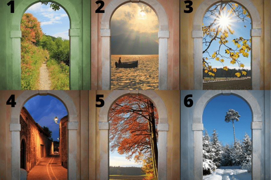 kroz-koju-kapiju-zelite-da-prodjete?-odgovorite-i-saznajte-istinu-o-sebi