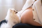 mlada-majka-sinu-dala-ime-po-uginulom-psu,-pa-izazvala-haos-na-mrezama:-"sigurna-sam-da-imaju-istu-dusu"