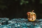 muzej-odvratne-hrane-ili-mjesto-iskusavanja-granica-nase-gadljivosti:-ideju-su-dobili-u-zagrebu,-nakon-posjeta-muzeju-prekinutih-veza