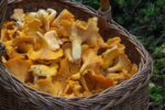 imate-holesterol,-trigliceride-i-secer:-ovo-je-najbrzi-nacin-da-se-resite-zdravstvenih-problema