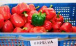 znate-li-koja-je-razlika-izmedju-zelene,-crvene-i-zute-paprike?-jedna-od-njih-je-najzdravija
