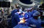 ksenotransplantacija-postaje-nasa-realnost,-a-znate-li-uopce-sto-je-to-i-zasto-bi-se-moglo-prosiriti?