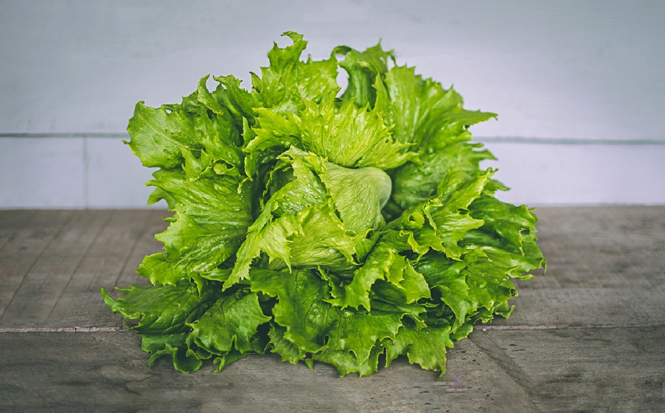 znate-li-da-zelena-salata-moze-biti-opasna?-ne-napravite-li-ovo-prije-jedenja-mozete-se-otrovati