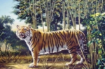 da-li-vidite-drugog-tigra?-samo-jedan-odsto-ljudi-to-moze!-(foto)