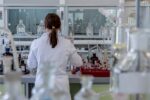 bubreg-s-ljudskim-stanicama-uzgojen-u-tijelu-svinje:-je-li-ovo-spas-za-mnoge-koji-cekaju-transplantaciju?