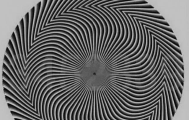 opticka-iluzija-koja-je-mnoge-zbunila:-koji-vi-broj-vidite-u-centru-kruga?-(foto)