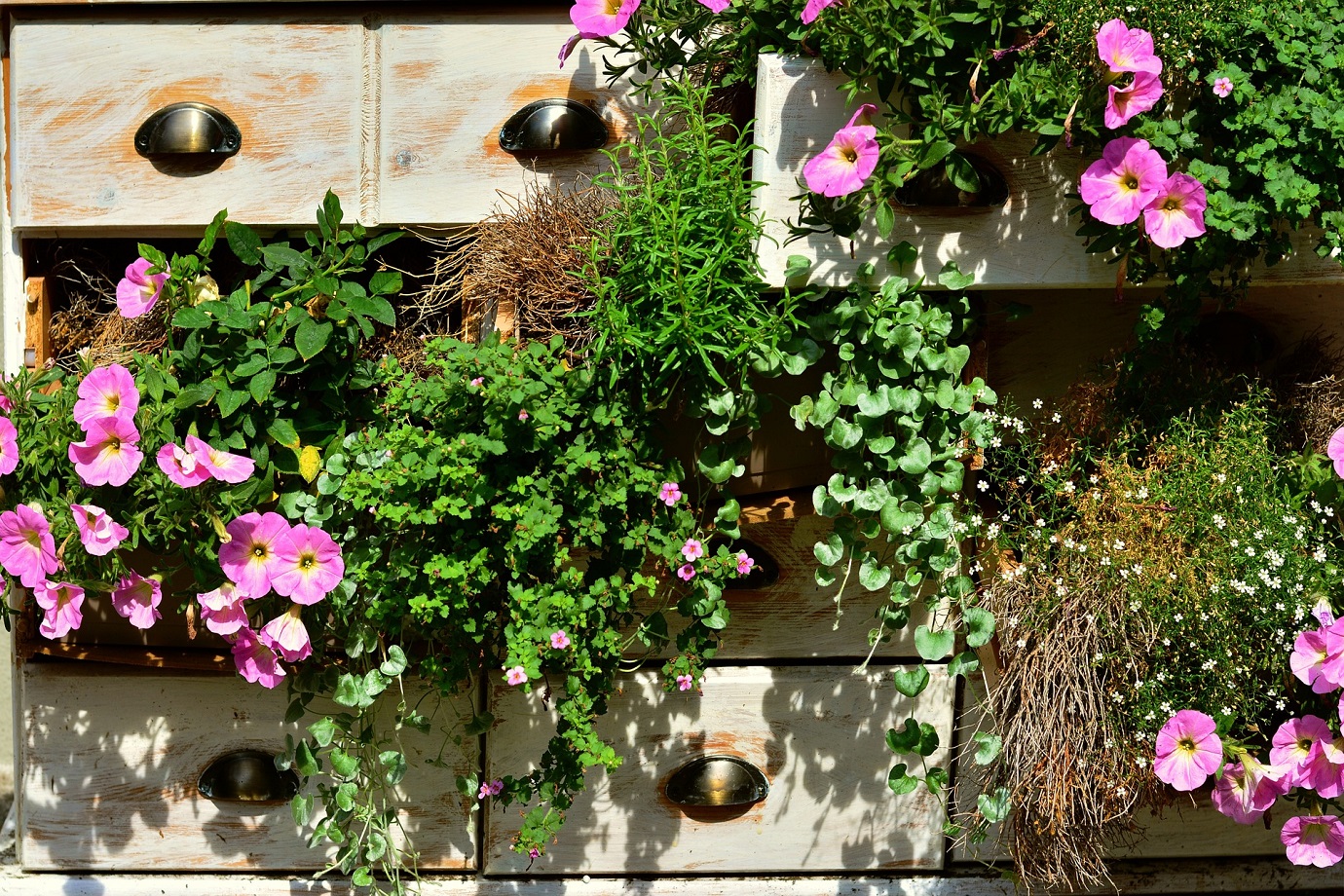kako-uzgojiti-zacine-na-balkonu-ili-prozorskoj-dasci?-ubacite-u-prehranu-svoje-ljekovito-bilje