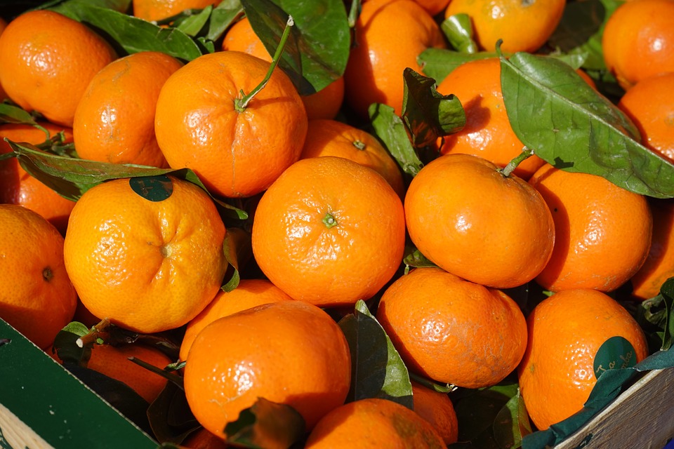 kako-mandarine-pomazu-vasem-zdravlju