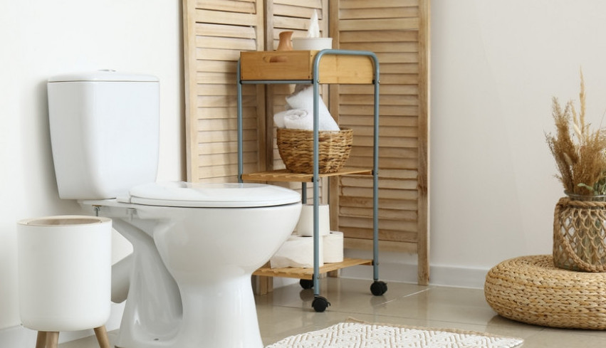 kupatilo-ce-mirisati-danima:-zena-je-primenila-jeftin-trik-i-kaze-da-je-zaboravila-kad-je-oribala-wc-solju