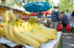 i-banane-treba-jesti-umjereno,-a-prakticki-sve-ovisi-o-tome-kako-zivite