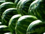 evo-kako-prepoznati-najsocniju-lubenicu-i-to-bez-diranja:-dovoljno-je-potraziti-jedan-znak